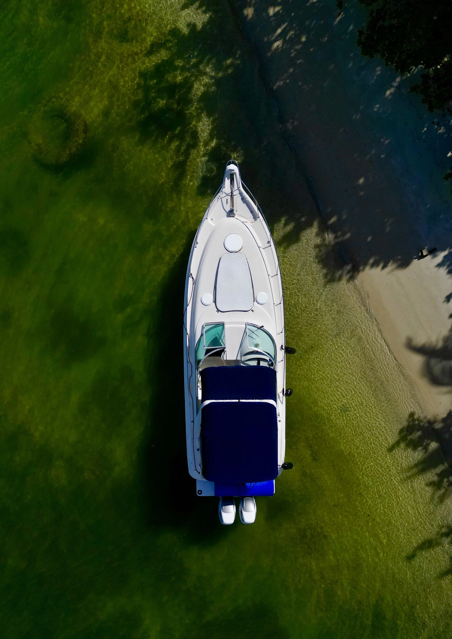 Barco 5